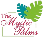 The Mystic Palms